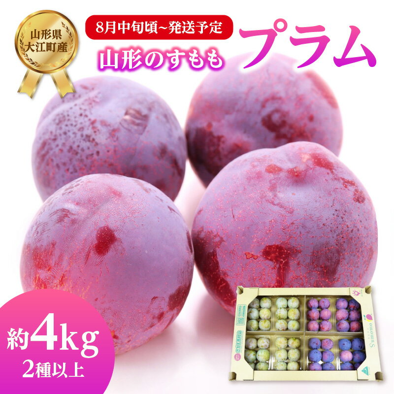 【ふるさと納税】《先行受付》すもも(プラム) 約4kg 品種おまかせ 2種以上 （レイトソルダム・太陽等）【2025年8月中旬頃〜発送予定】【山形プラム・大江町産】 先行予約 数量限定 甘い ジューシー フルーツ 夏 ギフト 産地直送 大容量 食べ比べ