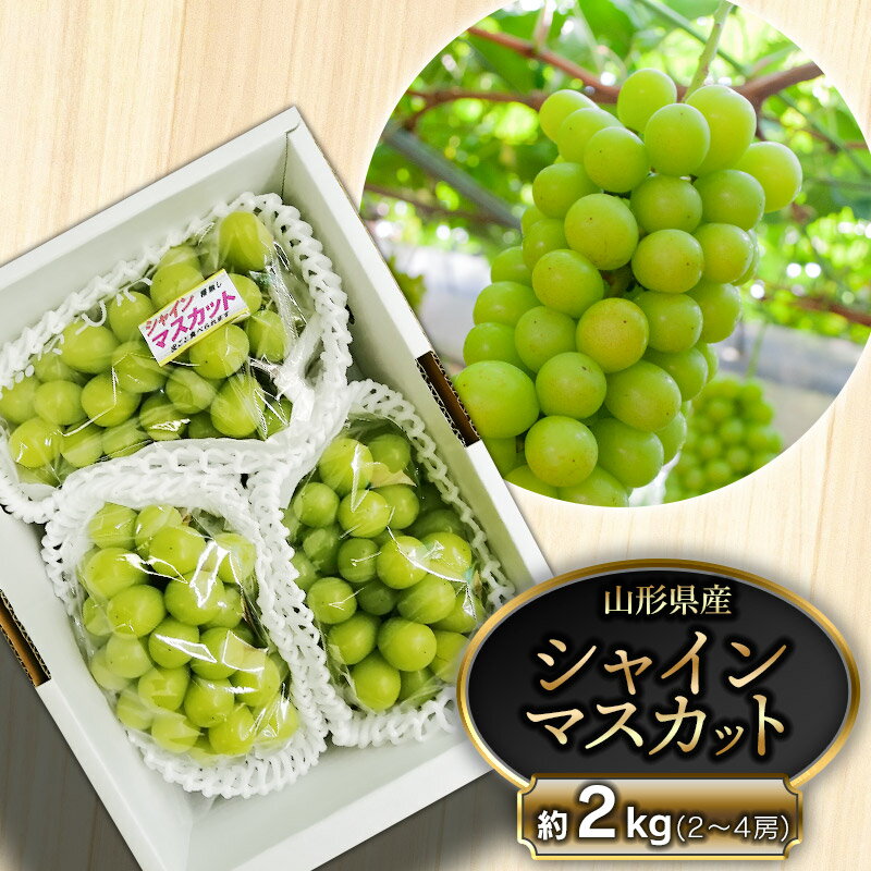 【ふるさと納税】【令和7年産先行予約】鶴岡市産シャインマスカット 約2kg（2〜4房） | 山形県 鶴岡市 返礼品 フルーツ 果物 くだもの ぶどう 種なし ブドウ 葡萄 お取り寄せ グルメ 自宅用 家庭用 果実 白品種
