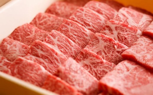 【淡路牛専門の目利きが厳選】ロース　焼肉用　600ｇ