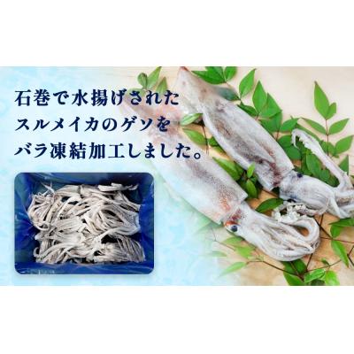 ふるさと納税 石巻市 石巻市産スルメイカゲソ1kg 冷凍 国産 スルメイカ いか イカ イカゲソ ゲソ天 バラ冷凍 宮城県 |  | 01