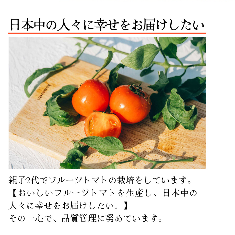 【5回定期便】フルーツトマト 原田農園 約1,800g 大箱（12月下旬～5月頃発送）＜2024年12月下旬頃より発送＞＜毎年12月上旬頃まで申込受付＞