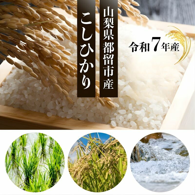 【ふるさと納税】【令和7年産】山梨県都留市産 こしひかり [選べる5kg・10kg]| 山梨県 都留市 こしひかり 富士 糖度 粘り 甘味 ツヤ 香り 令和7年 米