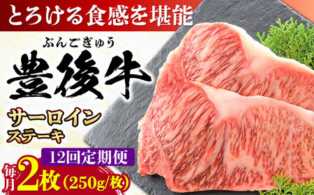 【全12回定期便】おおいた豊後牛 サーロインステーキ 500g (250g×2枚) / ステーキ ステーキ ステーキ ステーキ ステーキ ステーキ / 日田市 / 株式会社MEAT PLUS[AREI058]