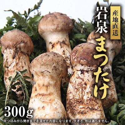 【ふるさと納税】岩泉まつたけ 直送 300g【配送不可地域：離島】【1423380】