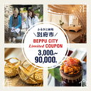 【ふるさと納税】【選べるクーポン】 2024年 期間 数量限定 BEPPU CITY Limited COUPON 地域限定 クーポン 3,000円分 ～ 90,000円分 チケット 温泉 観光 旅行 アウトドア グランピング アクティビティ 体験 食事 ホテル 旅館 宿泊 ふるさと納税限定 大分県 別府市 送料無料