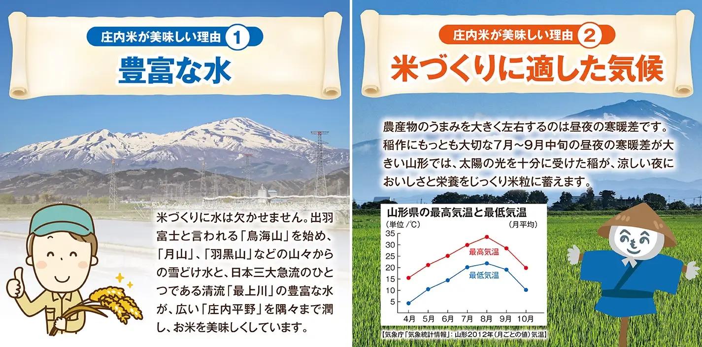 SD0304　11月下旬配送／【3回定期便】令和8年産［精米］雪若丸　5kg×3回(計15kg) JM