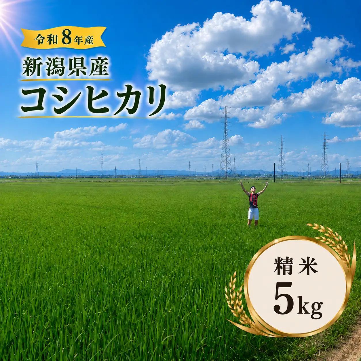 R8年産 新潟県産 コシヒカリ 精米 5kg