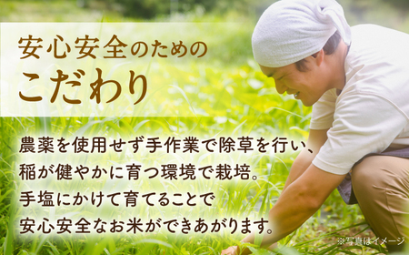 【先行予約】【全12回定期便】令和7年度新米4kg・放し飼いたまご20個セット ヒノヒカリれんげ米 元気たまご【浅田峠自然塾】[EA22]