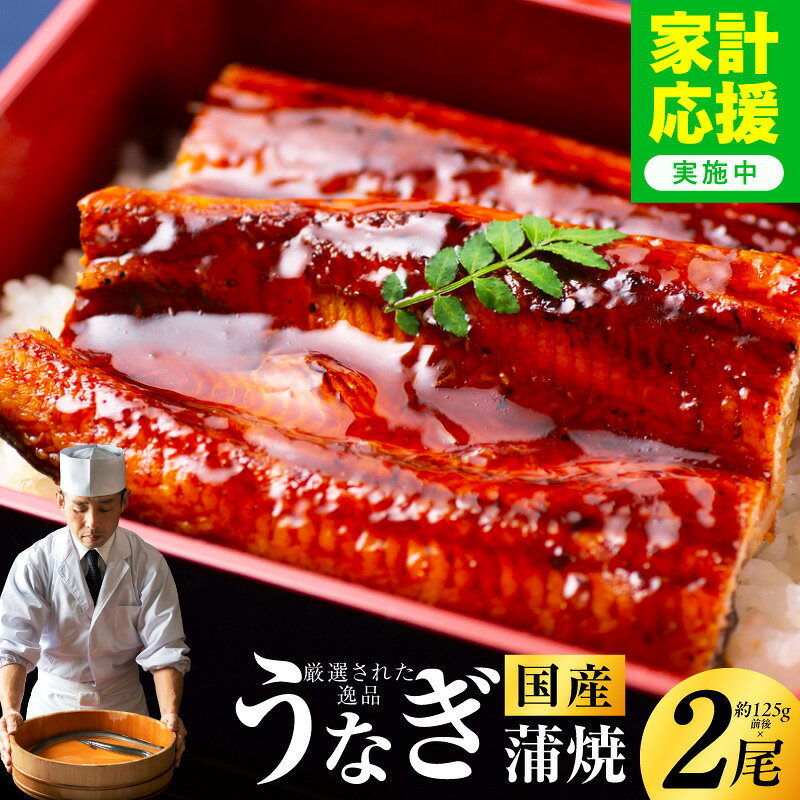 【ふるさと納税】国産 うなぎ 蒲焼 炭火焼き 約125g × 2尾 合計 250g 秘伝のたれ 冷凍 お取り寄せ グルメ 備長炭 手焼き 活鰻 厳選 鰻職人 レンジ対応 湯煎 簡単調理 パリッと ふんわり 鰻 うな重 うな丼 ひつまぶし うなぎ蒲焼 泉佐野市 送料無料