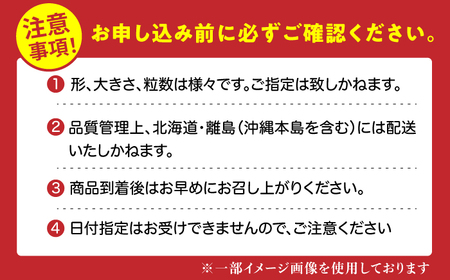 【先行予約 2025年2月より発送】 〈幻のイチゴ〉綾美姫270g×2  いちご 苺 果物 フルーツ 人気 希少 広川町 / 石川農園[AFCC001]