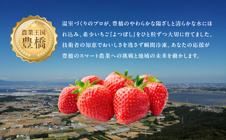 ブールドネージュ ギフト用 「よつぼし」いちご使用