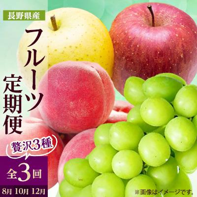 ふるさと納税 中野市 【発送月固定定期便】2026年発送 長野の果物 桃+シャインマスカット+りんご詰め合わせ全3回
