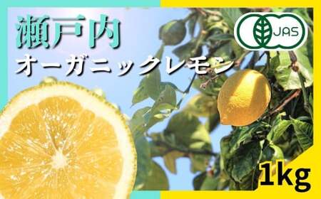 瀬戸内オーガニックレモン 1kg (8～12個程度) 先行予約 1〜2月発送 有機JAS ワックス不使用 防腐剤不使用 国産 広島 広島レモン 瀬戸内レモン 有機レモン ノーワックス 柑橘 健康 生搾り レモンサワー 産地直送 中原観光農園 大崎上島