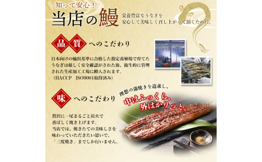1尾で約215g～240gのビッグサイズ うなぎ蒲焼 2尾 計約430g～480g （タレ・山椒付き） 【通常発送】【nks700B】