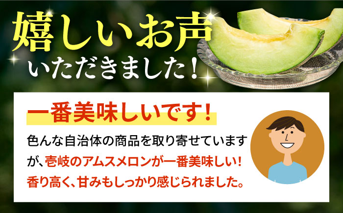 【先行予約】アムスメロン「翠」 2玉（中箱）【2025年6月中旬以降順次発送】《壱岐市》【フレッシュメイト壱岐】[JAZ004] メロン めろん アムスメロン 果物 くだもの 果実 フルーツ デザート