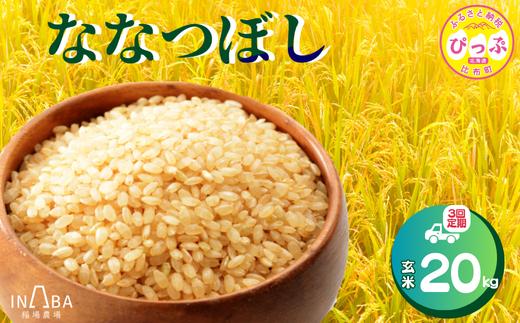 ななつぼし 玄米 20kg 3回 定期便【稲場農場】【令和７年産】米 お米 北海道米 特Aランク 国産 白米 コメ 北海道 比布町 ぴっぷ 1024-011