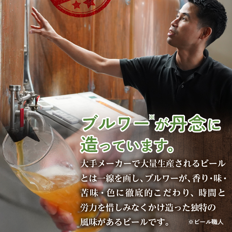 滝川クラフトビール工房 りんご＆ドライ 6本セット｜北海道 滝川市 クラフトビール ビール 酒 お酒 りんご  リンゴ ドライ セット_イメージ4