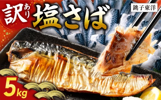 訳あり 塩さば フィーレ 選べる容量 約5kg 鯖 さば 塩鯖 フィレ 魚介類 魚 魚貝 魚介 海鮮 人気 冷凍 大容量 冷凍食品 おつまみ 酒 さけ おかず 惣菜 弁当 不揃い 規格外 訳アリ 訳有 傷 グルメ お取り寄せ 贈答 贈物 プレゼント 贈り物 長期保存 ギフト 小分け ふるさと納税 ふるさと納税鯖 送料無料 千葉県 銚子市 銚子東洋