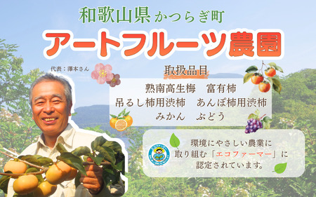 先行予約 富有柿  約2.5～3kg 秀優混合 サイズ混合 【2026年11月中旬～12月下旬頃発送予定】～こんな美味しいの「食べるのはじめてや!」の感動をお届けします。～ / 柿 富有柿 和歌山県 