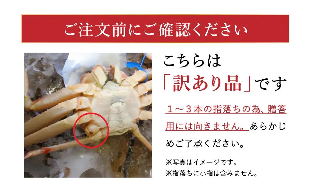 松葉ガニ 釜茹で 訳あり タグ付き 約1kg