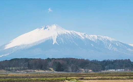 岩手山がよく見える自然豊かな所にお店はあります