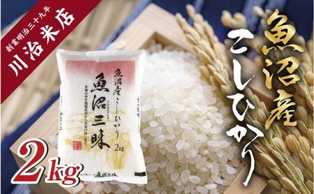 コシヒカリ 令和7年産 魚沼三昧 2kg×3 精米 コシヒカリ