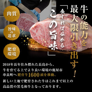 【数量限定】A4・A5等級 うしの中山黒毛和牛厚切りカルビ 500g（500g×1P） 2547