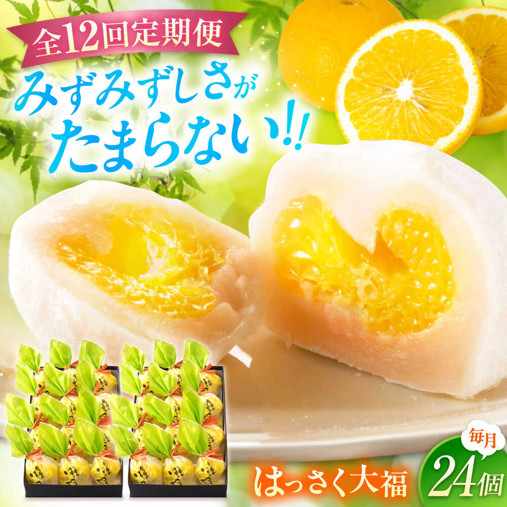 【ふるさと納税】【12回定期便】お菓子 はっさく大福12個入×2　 お菓子 大福 八朔 柑橘 みかん オレンジ 餅 ギフト お取り寄せ スイーツ フルーツ大福 ご当地 菓子 おかし デザート 食品 人気 おすすめ 広島県福山市/株式会社虎屋本舗[BADH020]