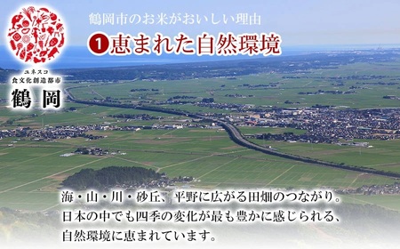【令和6年産】はえぬき 精米 5kg×2袋 計10kg 山形県 庄内産　米食味鑑定士お薦め 
