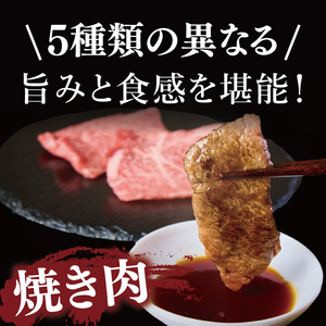 常陸牛5種焼肉セット希少部位入り　(２～３人前 500g）（NW-12）