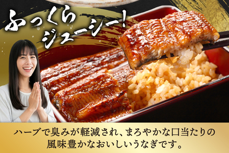 うなぎ 国産 蒲焼 4尾 計720g 以上 うなぎ