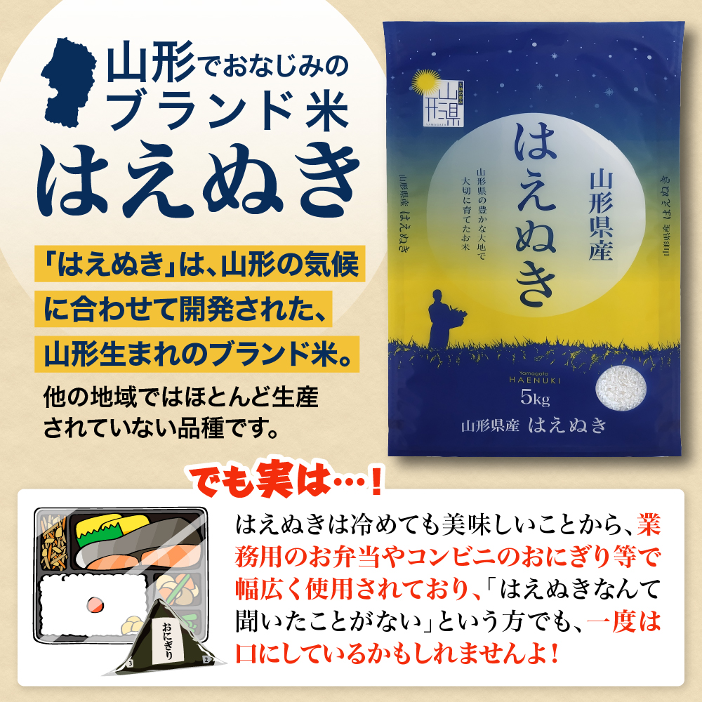 【令和8年産米】2026年11月中旬発送 はえぬき20kg 山形県産 【米COMEかほく協同組合】 ka024-046d-r8-112 【令和8年産米】2026年11月中旬発送 はえぬき20kg