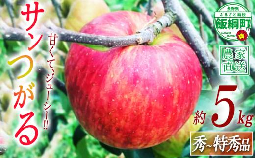 りんご サンつがる 秀 ～ 特秀 5kg 中村ファーム 沖縄県への配送不可 2026年9月上旬頃から2026年9月中旬頃まで順次発送予定 令和8年度収穫分 長野県 飯綱町 [0857]