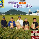 【ふるさと納税】【玄米】《定期便4ヶ月》令和6年産 秋田県産 あきたこまち 環境保全米 30kg (30kg×1袋)×4回 計120kg