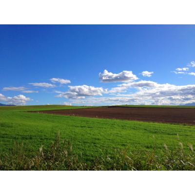 ふるさと納税 旭川市 北海道　野菜フレーク　3袋セット_02121 |  | 02