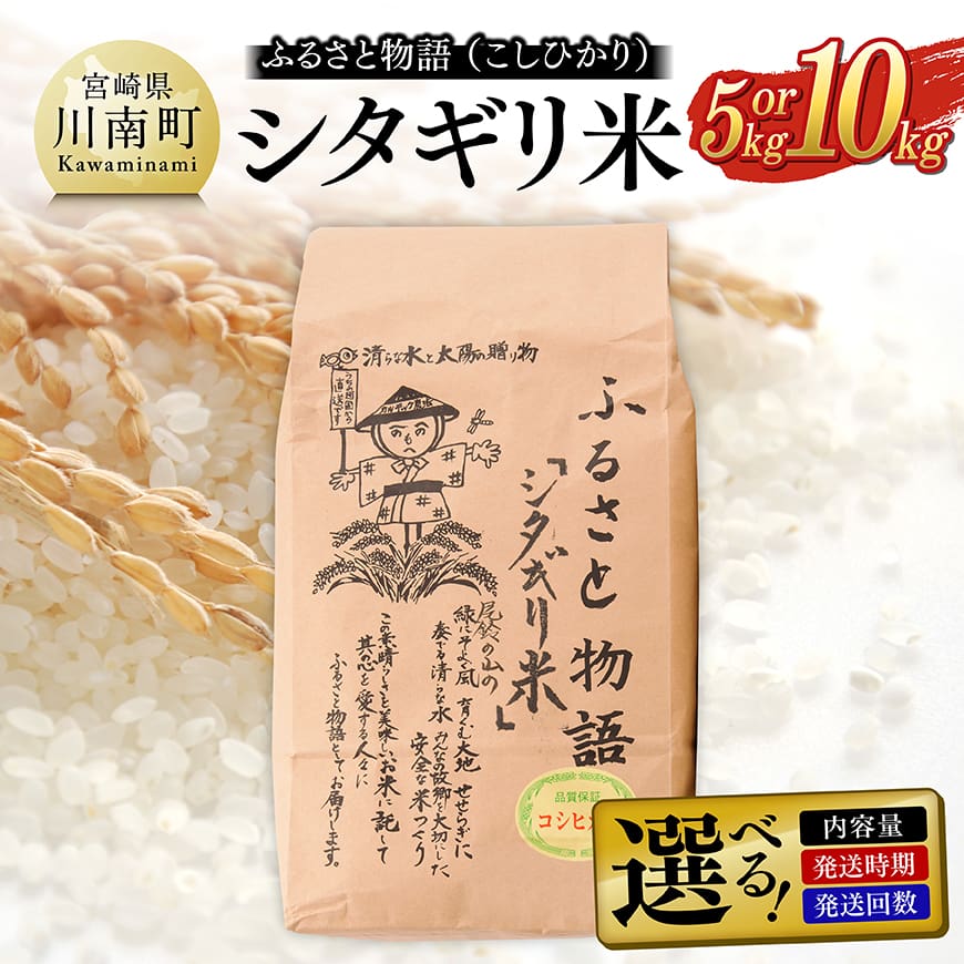 【ふるさと納税】※選べる内容量・発送時期・発送回数※ 【令和8年産】宮崎県産こしひかり「シタギリ米」5kg / 10kg - 新米 米 お米 白米 精米 コシヒカリ 国産 九州産 宮崎県産 こしひかり 農家直送 産地直送 お取り寄せ おにぎり 2026 送料無料 宮崎県 川南町 定期便 B0420