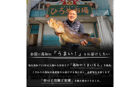 高知県産 うなぎ 長蒲焼1尾 約180g×1 1〜2人前/ 鰻 ウナギ 土用丑の日 高知産 うなぎ 【土佐黒潮水産】[ATCQ011]