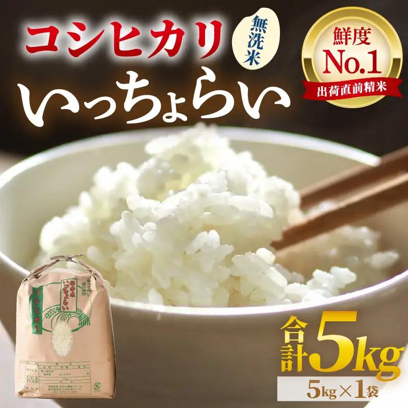 【先行予約】【令和8年産・新米】【一等米】いっちょらい 無洗米 5kg ／ 福井県産 ブランド米 コシヒカリ ご飯 白米 新鮮 大賞 受賞 ※2026年9月下旬以降順次発送予定 [aw012-a037