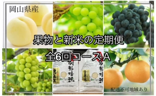 Te-1　【令和６年発送・先行予約】岡山県産　果物と新米の定期便　全６回コースA