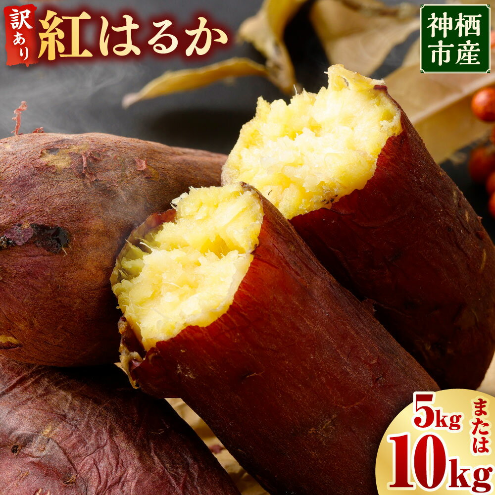 【ふるさと納税】“熟成”神栖市産さつまいも（紅はるか） 訳あり 約5kg 約10kg さつまいも サツマイモ さつま芋 芋 いも 訳あり 不揃い 自宅用 野菜 茨城県 神栖市 送料無料