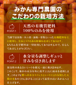 【農家直送】有田みかん 約10kg  大玉3L以上 有機質肥料100% 【2026年11月上旬～12月下旬に順次発送予定(お届け日指定不可)】 / みかん 大玉 蜜柑 有田 柑橘 フルーツ 果物 くだ