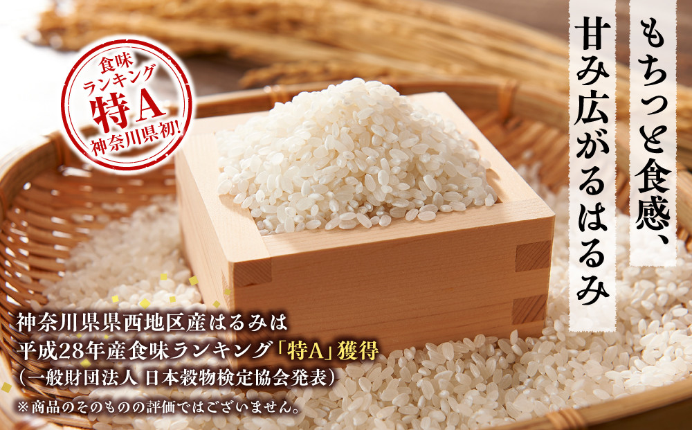 志村屋米穀店 令和7年産小田原市産　はるみ  5kg