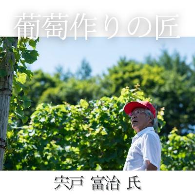 ふるさと納税 余市町 【ワイン】葡萄作りの匠「北島秀樹」&「宍戸富二」ツヴァイゲルト飲み比べセット_Y034-0093 |  | 02