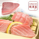 【ふるさと納税】 定期便 まぐろ 魚 冷凍 焼津 大トロ 中トロ ブロック 計800g 【定期便3回】 南鮪 ミナミマグロ b15-026