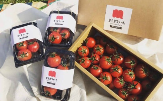 高糖度ミニトマト＜約1kg＞ 秀品  フルティカ【化粧箱入／プレゼント・ギフト・贈答用に】小分けパック アイメック☆ ましまファーム フルーツトマト 【常温】送料無料【12月〜7月頃発送】