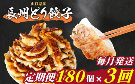 訳あり 長州どり餃子 180個 定期便 毎月3回 餃子 ギョウザ IB