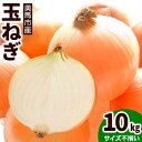 【ふるさと納税】〈 先行予約 〉 玉ねぎ 野菜 10kg サイズ不揃い 有限会社美馬グリーンサービス《2025年6月下旬‐9月上旬出荷》たまねぎ 徳島県 美馬市 送料無料