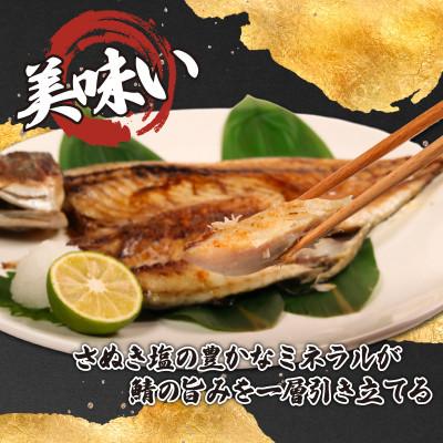 ふるさと納税 銚子市 銚子産　一汐さば　8kg |  | 02