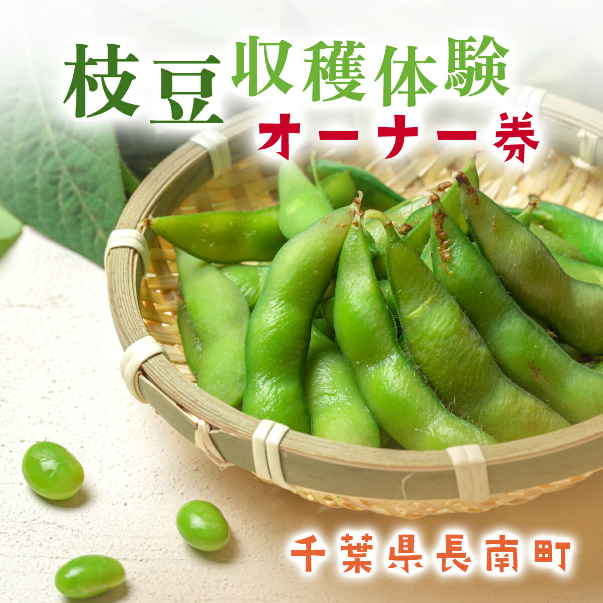 【ふるさと納税】【2025年9月発送】枝豆オーナー券 ふるさと納税 枝豆 えだまめ オーナー券 千葉県 長南町 CNA003