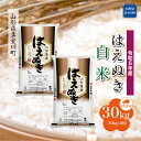 【ふるさと納税】 令和6年産 真室川町厳選 はえぬき ＜白米＞ 30kg 定期便（10kg×3回お届け）